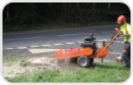 Tree Stump Grinder