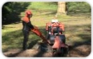 Stump Grinding