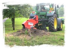 Tree Stump Grinding